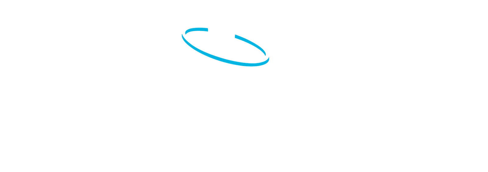 siluetperfectlogo2
